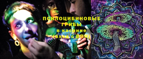 экстази Пересвет