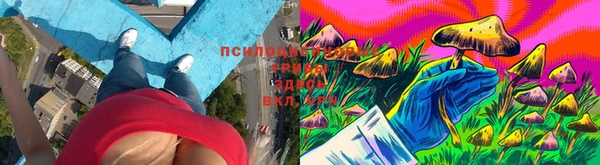 трава Алзамай