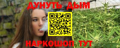шишки Шахты