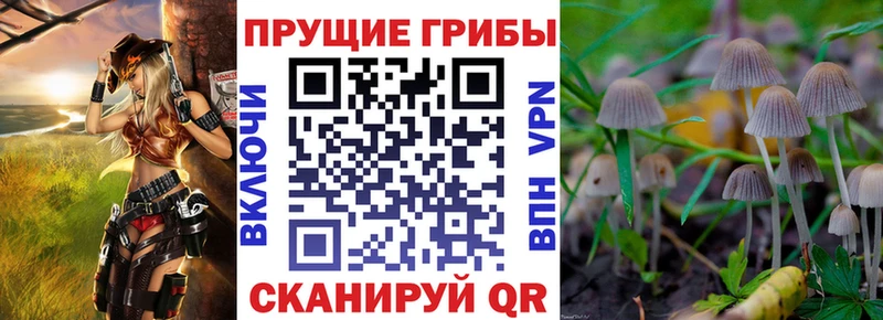 MEGA онион  Нурлат  Псилоцибиновые грибы MAGIC MUSHROOMS 