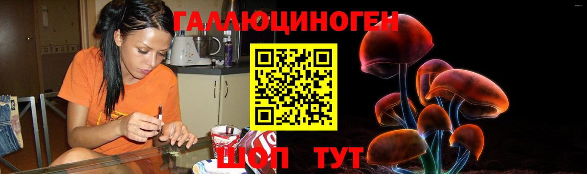Нурлат  Псилоцибиновые грибы Magic Shrooms  Вход с VPN  Галлюциногенные грибы Psilocybine cubensis 